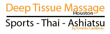 Deep Tissue Massage Houston Logo